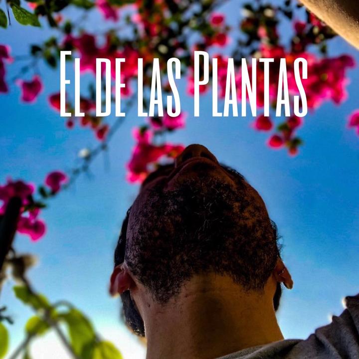 Eldelasplantasoficial El De Las Plantas Oficial TikTok