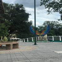 sonido original - Información oportuna
