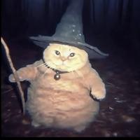 original sound - maya_14🌅✨🌺☀️🎀✝️🌊