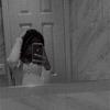 just_xalyiahx_spam