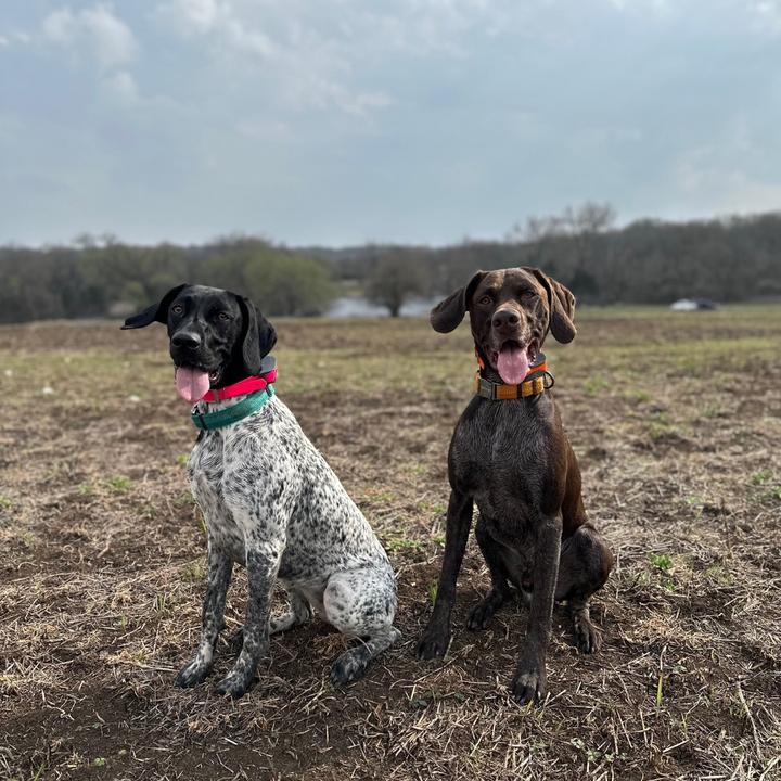 remi_and_nelli_thegsps