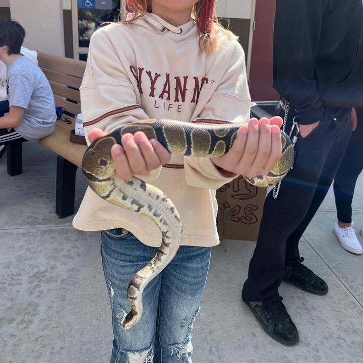 xxhaileebelle