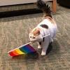 _.em0ji._.cat._