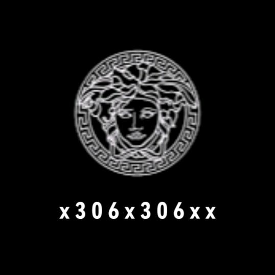 x306x306xx