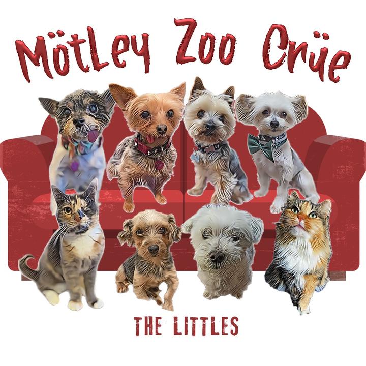 @motleyzoocrue - The Littles | Mötley Zoo Crüe