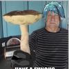 honey_fungus69
