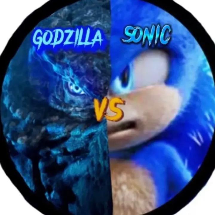 🦄 @godzilla_and_sonic13 - 💙Godzilla & Sonic💙 - TikTok