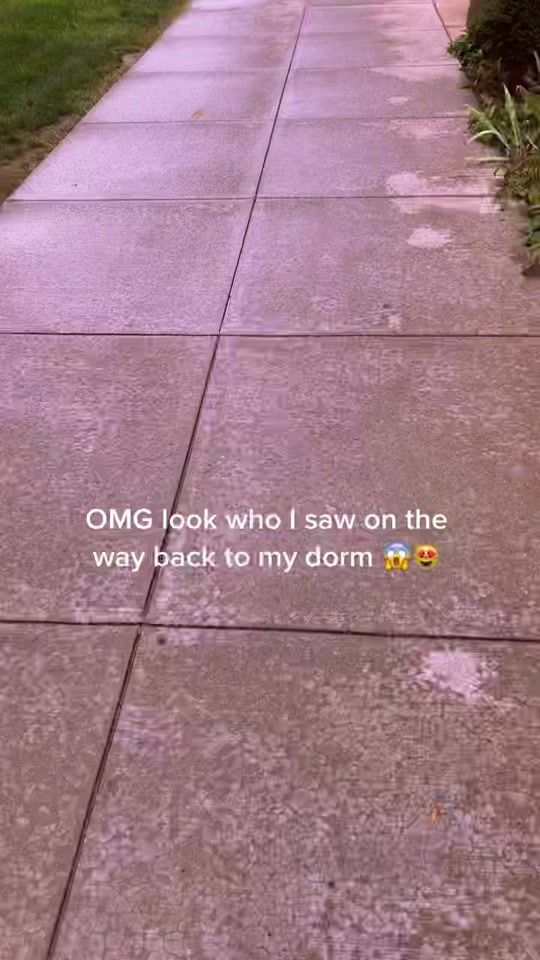 TikTok video thumbnail by emckutie