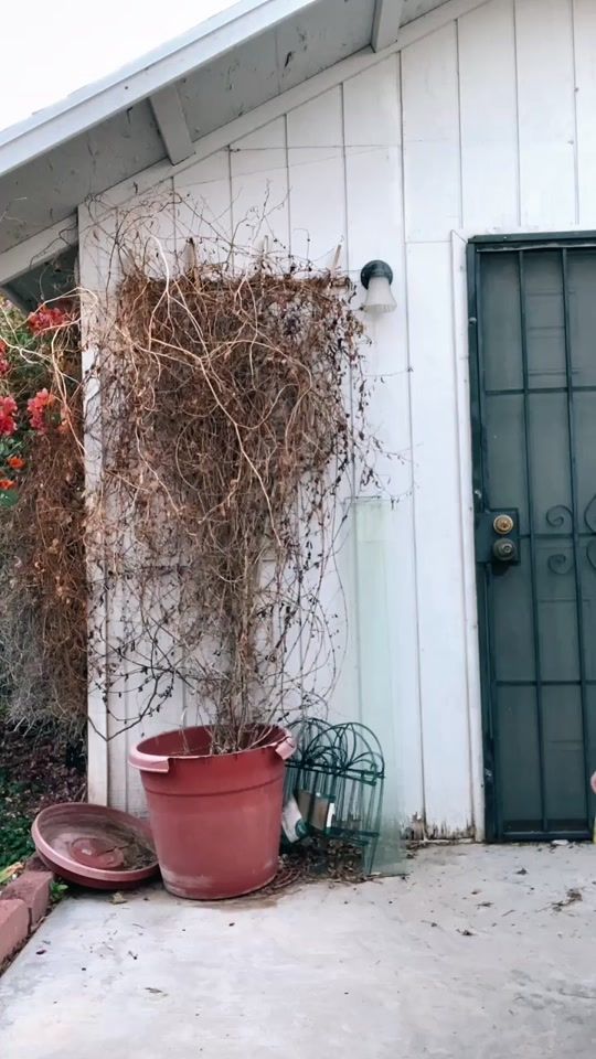 TikTok video thumbnail by tate.cp
