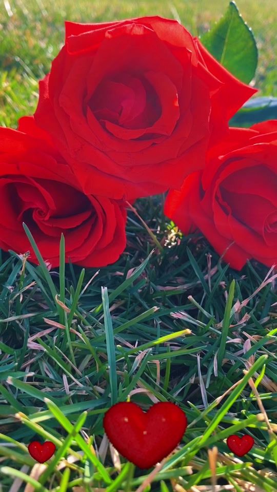 TikTok video thumbnail by mag138.0