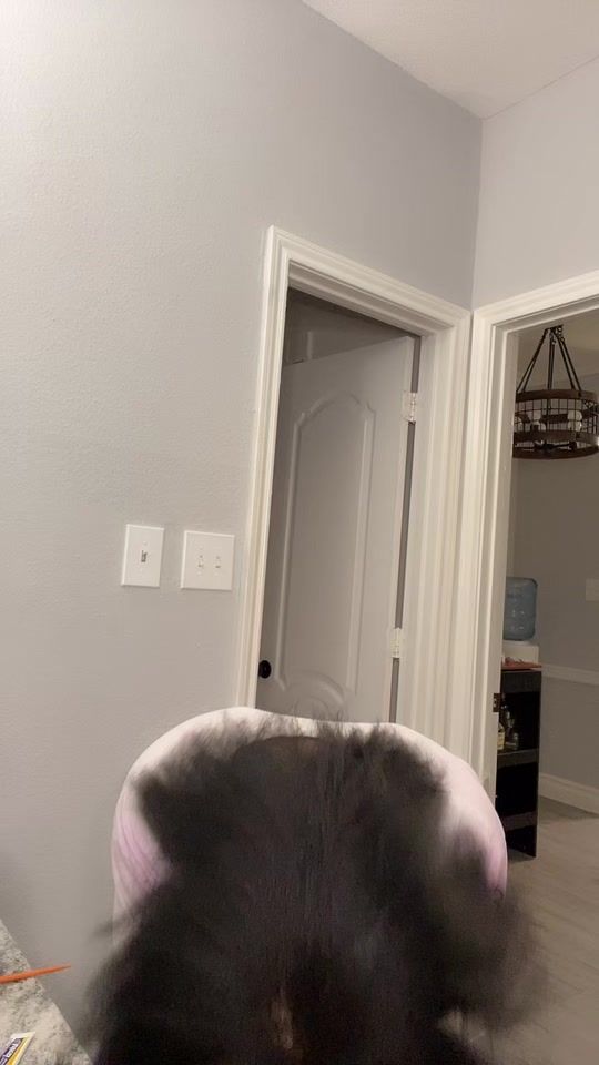 TikTok video thumbnail by franfineeeeee1