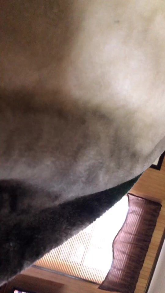 TikTok video thumbnail by furtnut__n00b