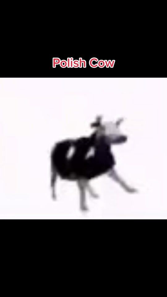 TikTok video thumbnail by cool_beans_yo_