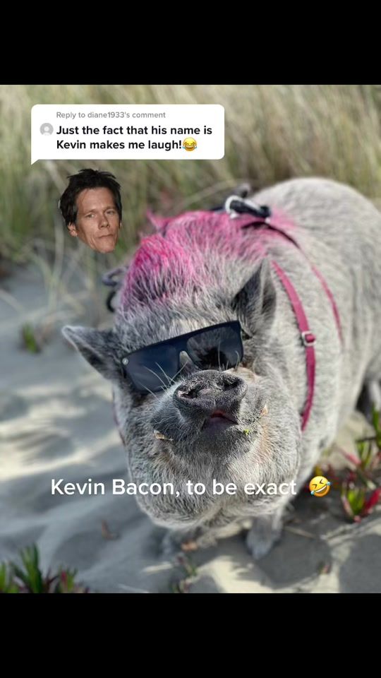 TikTok video thumbnail by kevinbaconpig