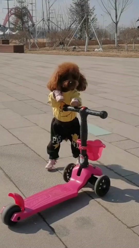 TikTok video thumbnail by mengma97