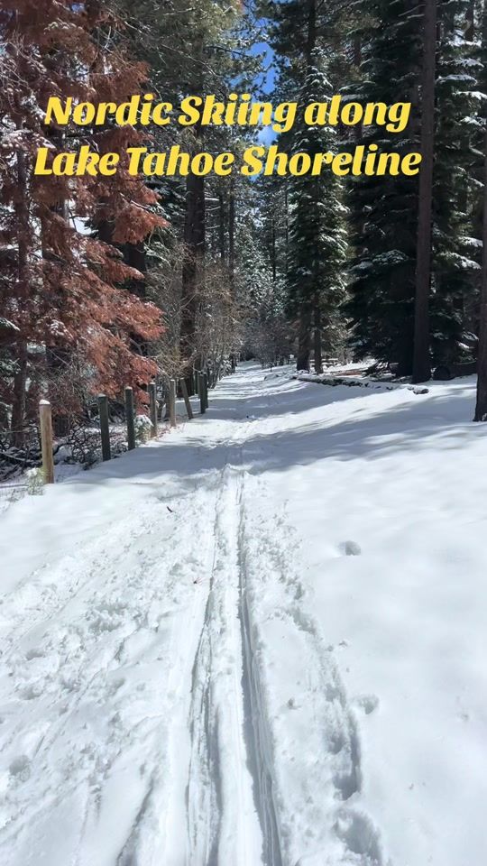 TikTok video thumbnail by drose0114