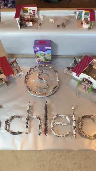 TikTok video thumbnail by schleichtakeover