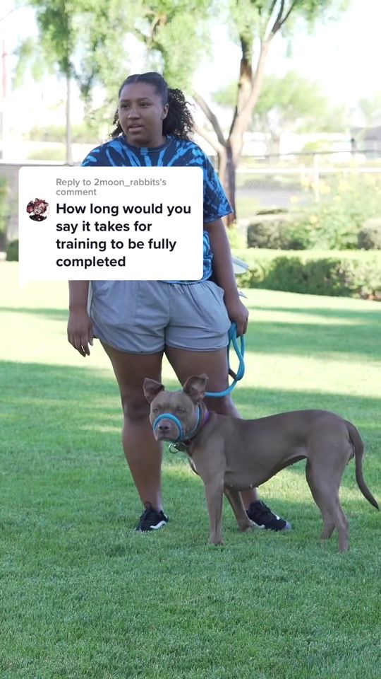 TikTok video thumbnail by ericandcaprithepup