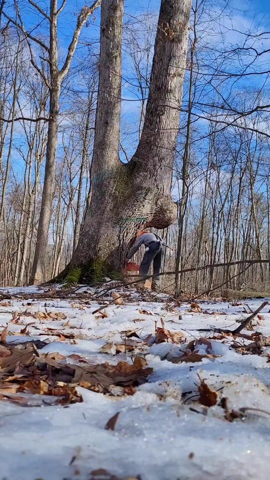 TikTok video thumbnail by pennsylvanialogger