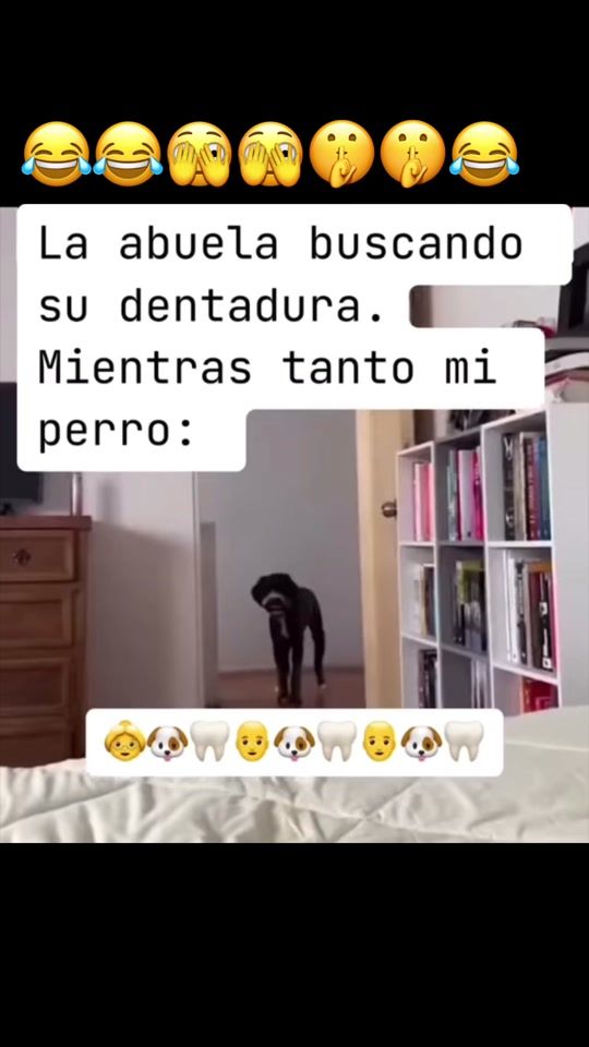 TikTok video thumbnail by abrilreye4