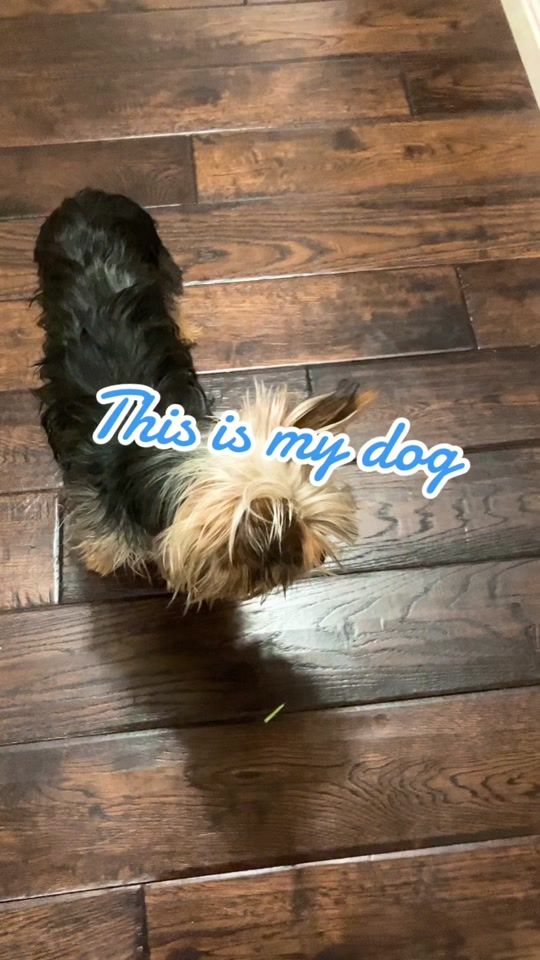 TikTok video thumbnail by mandmcrew2
