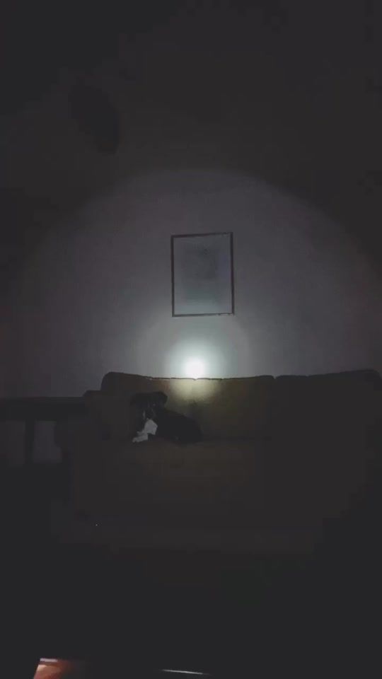TikTok video thumbnail by dr.moonflower