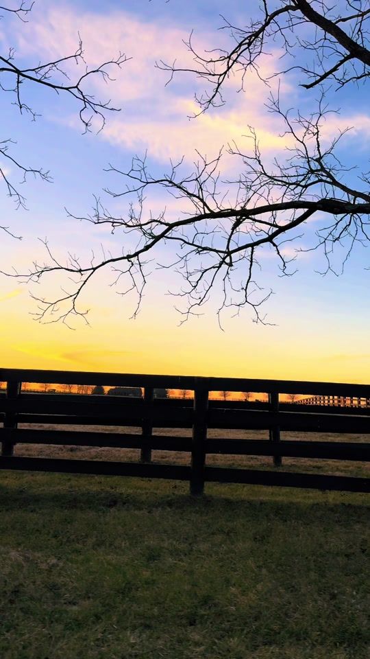 TikTok video thumbnail by tonyortizz81