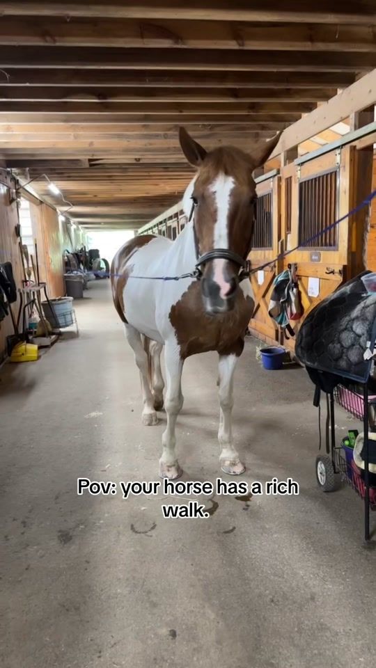 TikTok video thumbnail by tupelo_marie_15