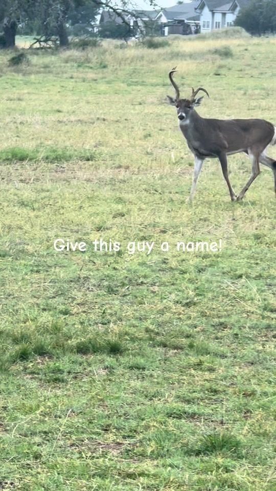 TikTok video thumbnail by mitchellcrowsey