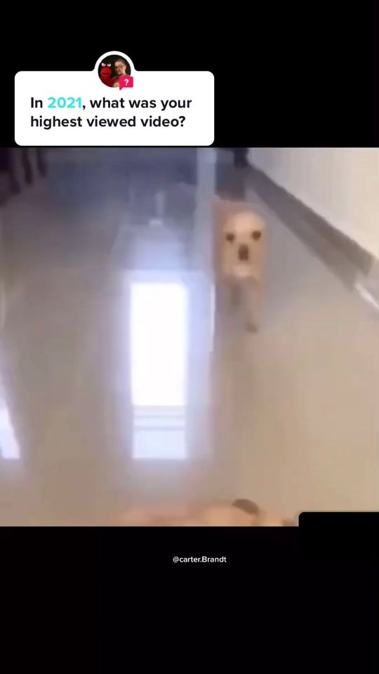 TikTok video thumbnail by carter.brandt