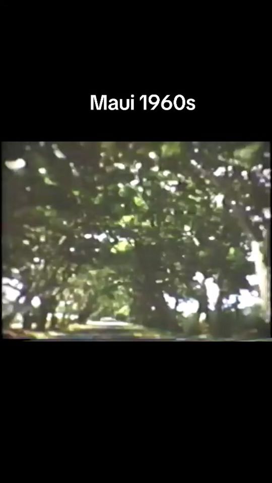 TikTok video thumbnail by old.hawaii