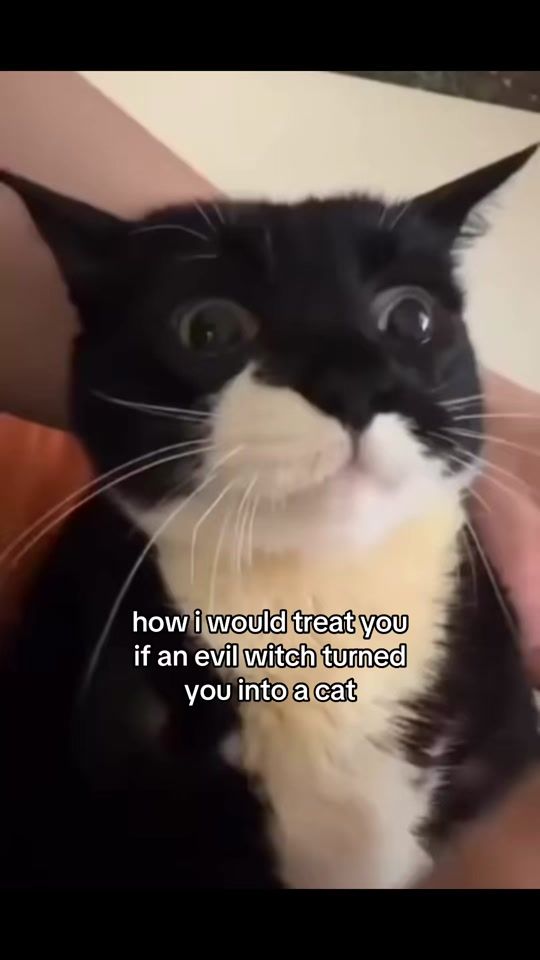 TikTok video thumbnail by issiassy