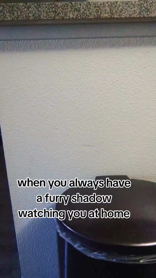 TikTok video thumbnail by glow_siren