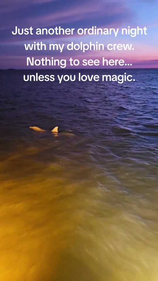 TikTok video thumbnail by flbowfishingadventures