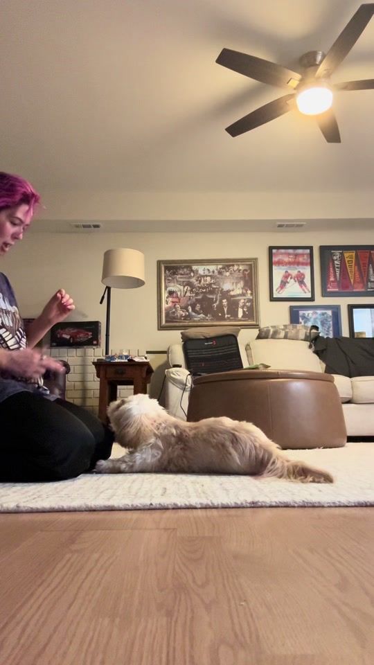 TikTok video thumbnail by jillianlazzara