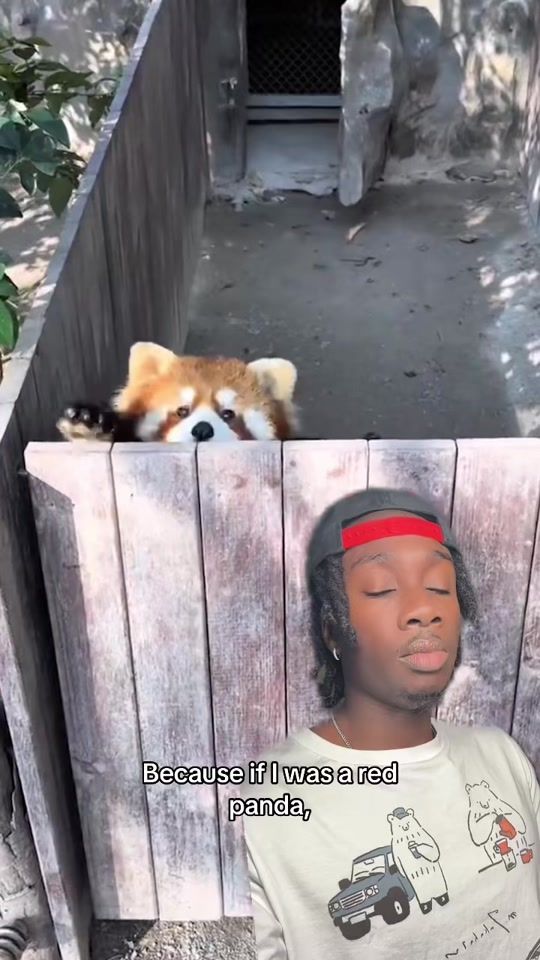 TikTok video thumbnail by mndiaye_97