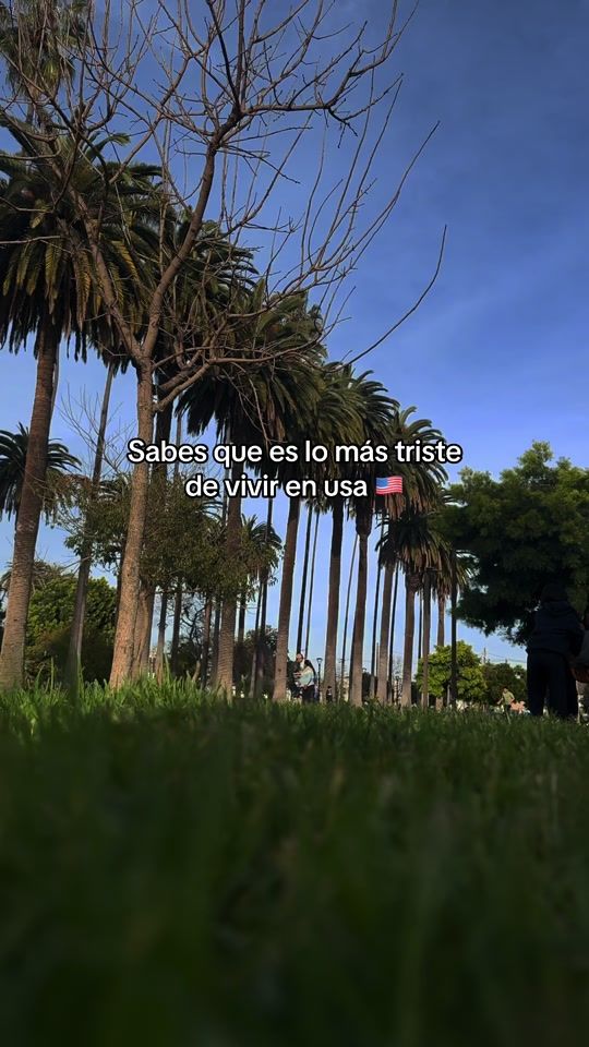 TikTok video thumbnail by evijuanez