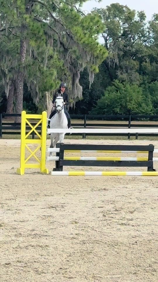 TikTok video thumbnail by brileone1