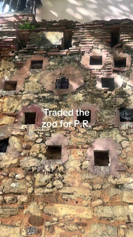 TikTok video thumbnail by miabryce