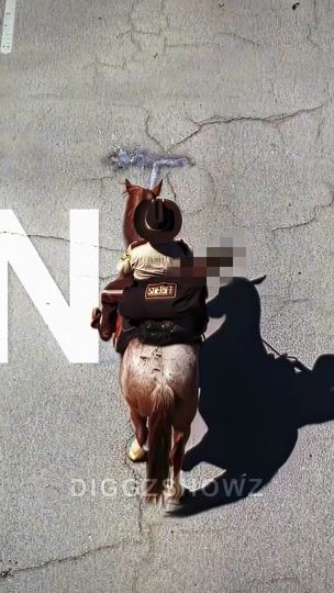 TikTok video thumbnail by diggzshowz