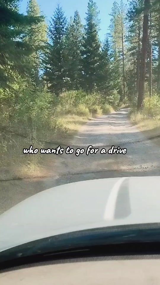 TikTok video thumbnail by chrisepperson5