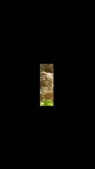 TikTok video thumbnail by jar28_