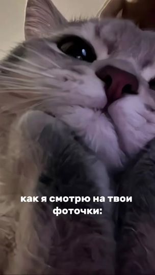 TikTok video thumbnail by faniqw7